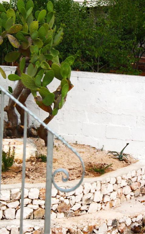 אוסטוני B&B Margherita מראה חיצוני תמונה
