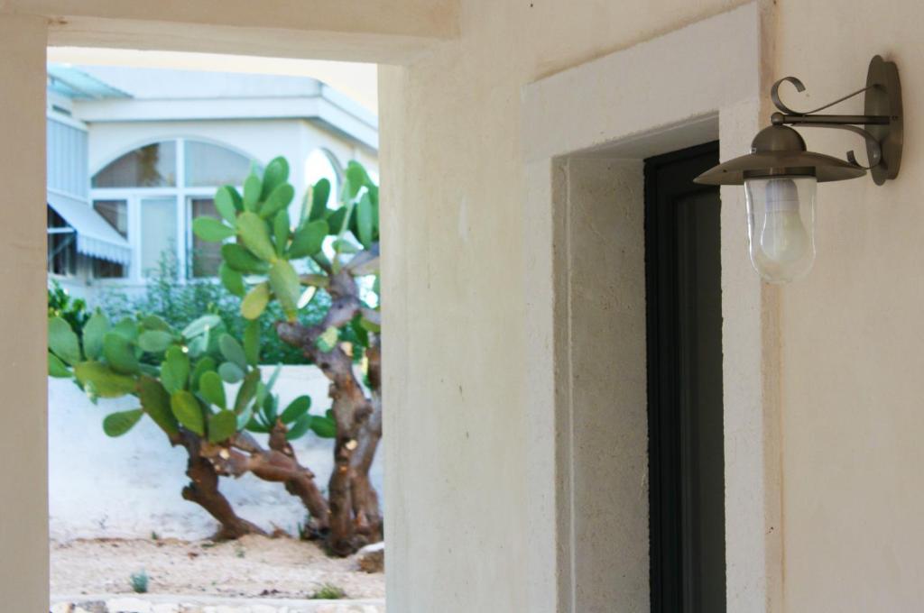 אוסטוני B&B Margherita מראה חיצוני תמונה